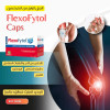 FLEXOFYTOL 60 TAB